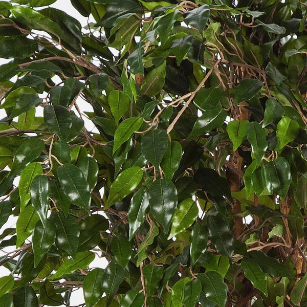 Künstliche Pflanze mit verschlungenem Stamm und grünen Blättern im schwarzen Topf. Tree-Factory Logo.
