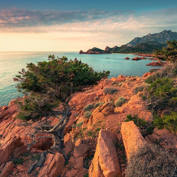 Küstenlandschaft mit Felsen, Vegetation und Meerblick