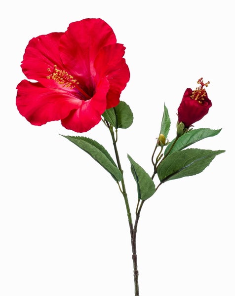 Künstlicher Hibiskus mit einer roten Blüte, einer Knospe und grünen Blättern.