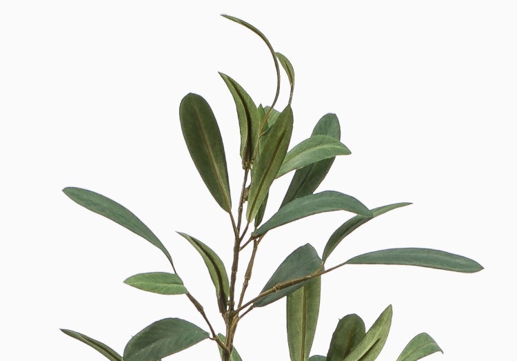 Künstlicher Kaktus im schwarzen Topf mit Kieselsteinen, Detailansicht des gerippten Stammes.