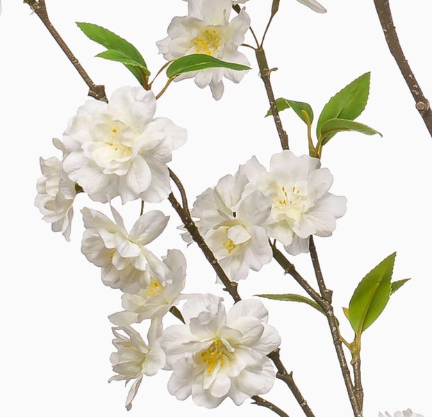 Künstlicher Kirschblütenzweig mit weißen Blüten, gelben Staubblättern und grünen Blättern an braunen Zweigen.