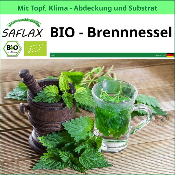 Saflax Bio Brennnessel mit Topf, Klima Abdeckung und Substrat neben Mörser und Tasse