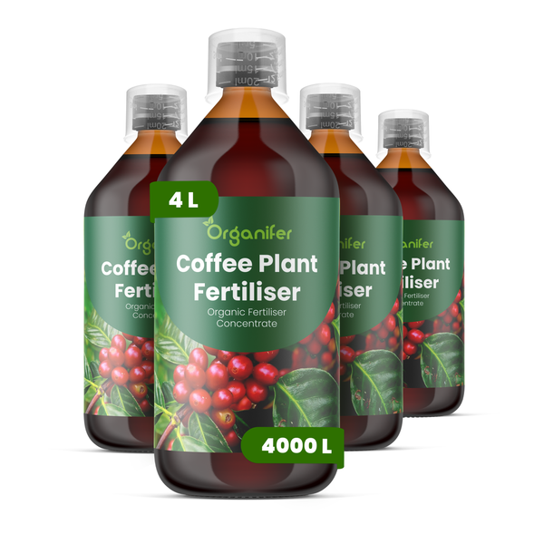 Vier Flaschen Organifer Kaffeepflanzendünger, organisches Konzentrat für 4000 Liter, Gesamtmenge 4 Liter.
