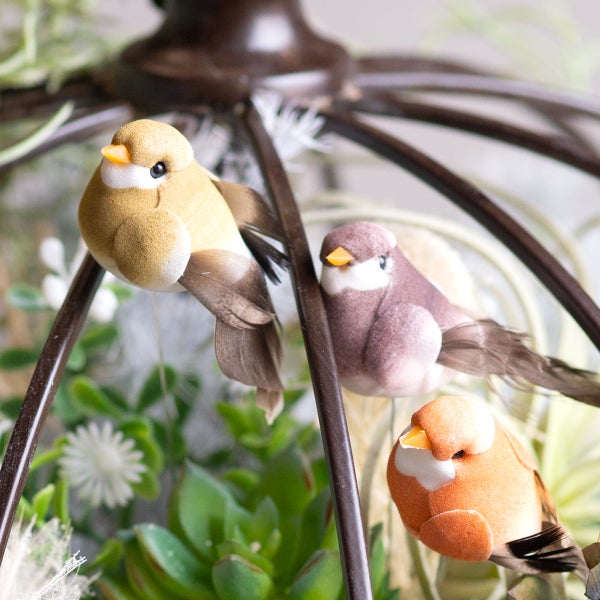 Dekorative Vogel-Figuren in einem Terrarium