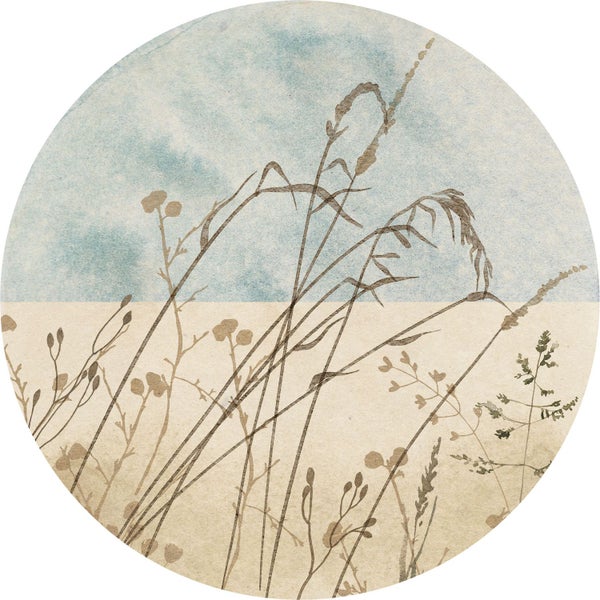Illustration von Gras und Wildblumen