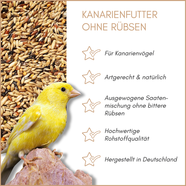 Kanarienfutter ohne Rübsen neben einem gelben Kanarienvogel und einer Saatenmischung
