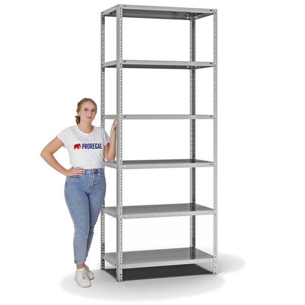 PROREGAL Fachbodenregal Schraubsystem Heavy-Duty Grundregal HxBxT 250 x 100 x 50 cm 6 Ebenen Fachlast 350 kg Beidseitig Nutzbar Verzinkt