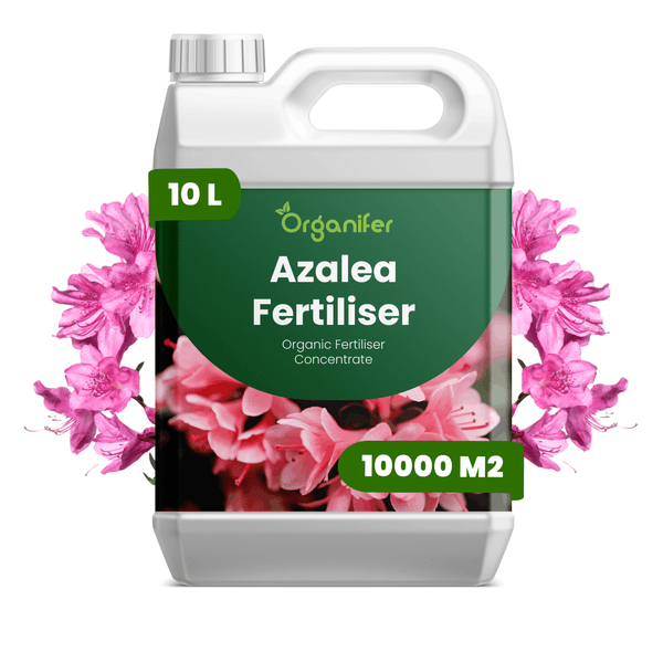 Organifer Azaleendünger Konzentrat, organischer Dünger, 10 Liter für 10000 Quadratmeter.