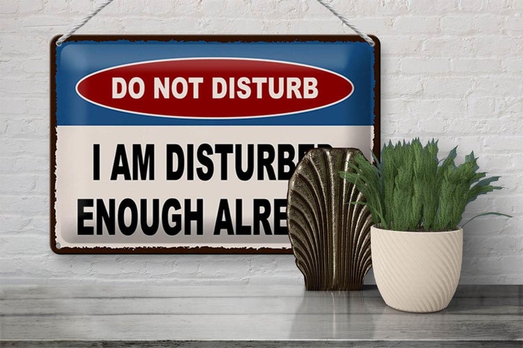 Blechschild Spruch 30x20cm do not disturb I am disturbed