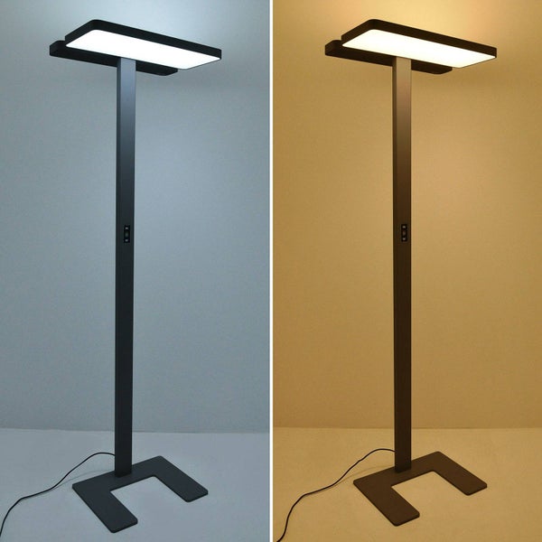 LED-Stehleuchte mit rechteckigem Kopf und U-förmigem Standfuß, dargestellt in kaltweißer und warmweißer Lichtfarbe.