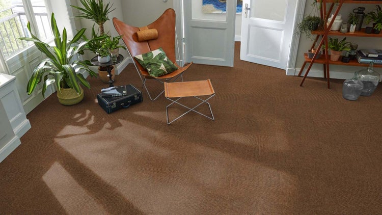 Brauner Teppichboden in einem hellen Wohnzimmer mit Schmetterlingssessel aus Leder und Zimmerpflanzen.