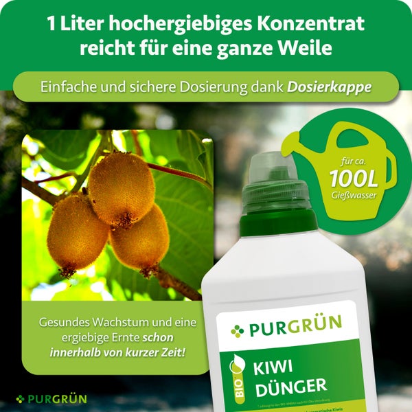 Purgrün Kiwi Dünger Flüssigkonzentrat in einer 1 Liter Flasche mit Dosierkappe für bis zu 100 Liter Gießwasser für gesundes Wachstum der Kiwipflanzen.