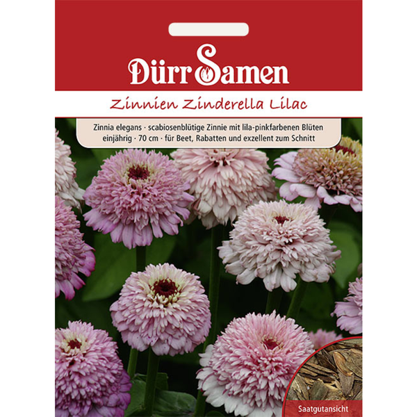 Zinnien Zinderella Lilac einjährig Saatgut von Dürr Samen