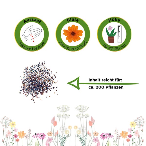 Symbole für Aussaat Februar bis April, Blüte Juni bis Frost und Wuchshöhe circa 40 bis 60 Zentimeter. Inhalt für circa 200 Pflanzen.