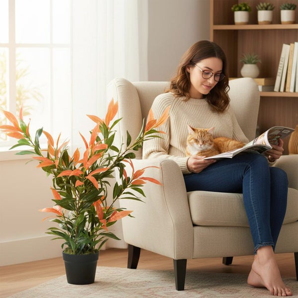 Frau liest in einem Sessel mit Katze und Zimmerpflanze in einem hellen Raum.