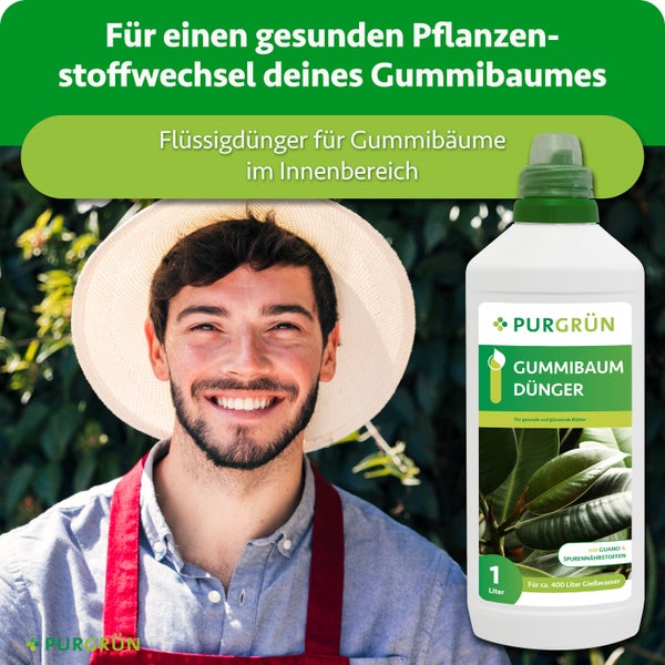 Purgrün Gummibaum Dünger Flüssigdünger mit Guano und Spurennährstoffen in der 1 Liter Flasche für Zimmerpflanzen.