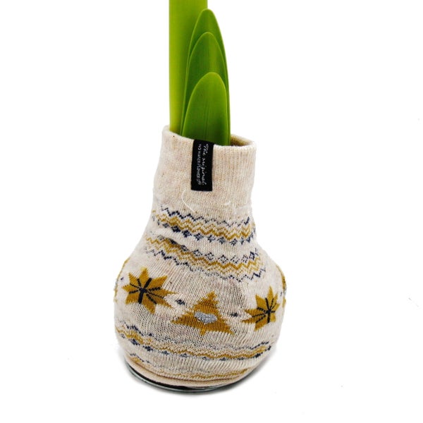 Exotenherz Amaryllis-Zwiebel in der Norweger-Socke Ritterstern Die originelle Geschenk-Idee beige