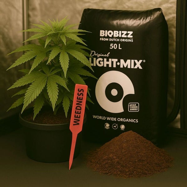 BioBizz Light-Mix 50 Liter Blumenerde, eine Topfpflanze, ein Weedness Pflanzenstecker und ein kleiner Erdhaufen.