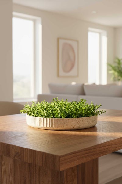 Flache Dekoschale mit kleinen Grünpflanzen auf einem Holztisch in einem hellen, modernen Wohnzimmer mit Sofa und Fenstern im Hintergrund.