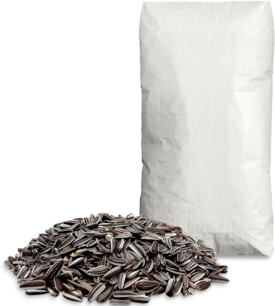 Sonnenblumenkerne mit einer weißen Verpackung im Hintergrund