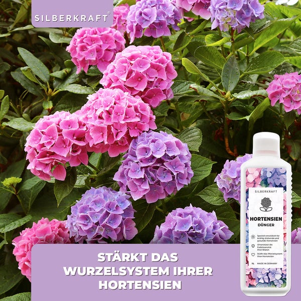 SILBERKRAFT Hortensien Dünger – Für kräftige Blüten – NPK Flüssigdünger – 1 Liter