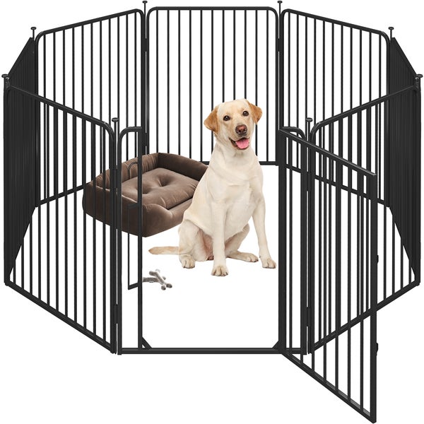 Schwarzes Hundegehege mit Hundebett und Labrador