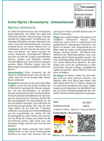 SAFLAX  - Echte Myrte / Brautmyrte - Myrtus communis - 30 Samen