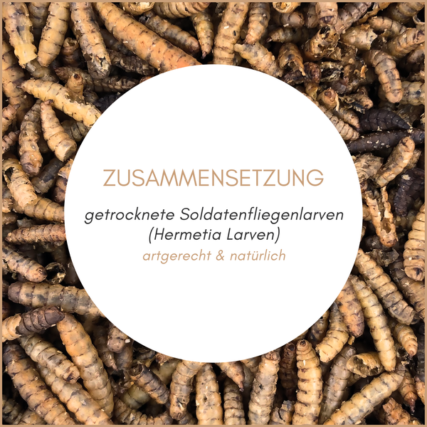 Getrocknete Soldatenfliegenlarven als naturbelassenes Tierfutter für Vögel und Reptilien.
