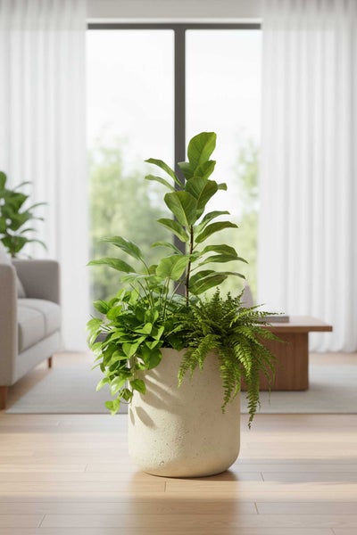 Zimmerpflanzen-Arrangement in einem hellen, modernen Wohnzimmer mit Farn, Efeutute und Geigenfeige in einem großen runden Pflanztopf.