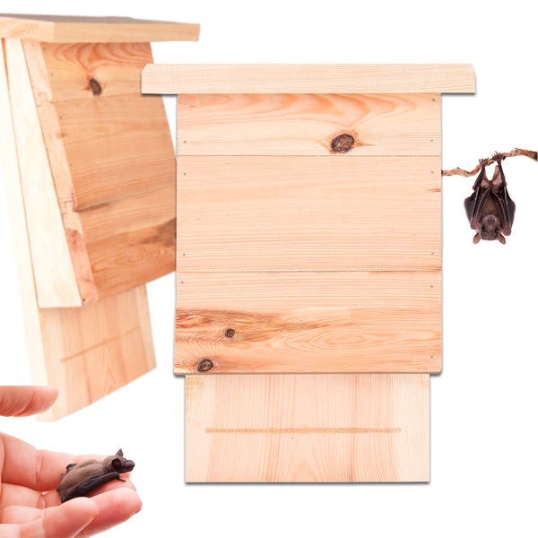 Fledermauskasten aus Holz mit Fledermaus