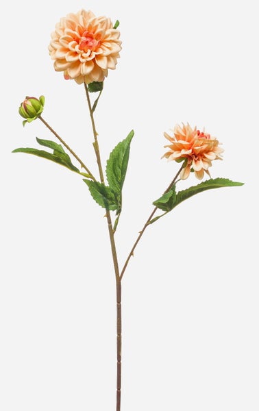 Künstliche Dahlie am Zweig mit zwei apricotfarbenen Blüten, einer Knospe und grünen Blättern.