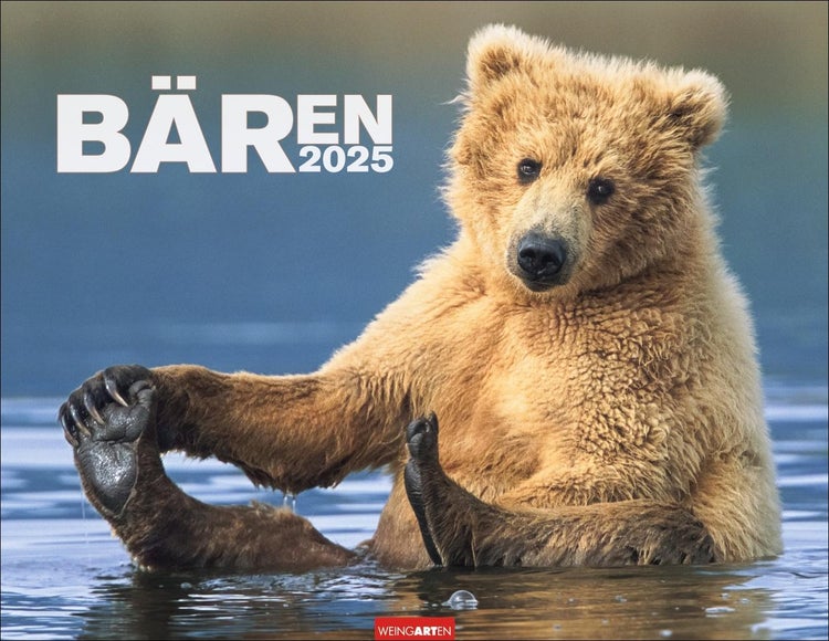 Bären Kalender 2025 Meister Petz im Jahres-Wandkalender 2025. Lustige Momentaufnahmen und herzerwärmende Bärenfotos vom Grizzly bis zum Eisbären. Tierkalender im Querformat 44 x 34 cm