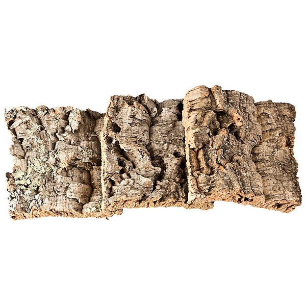 Korkrinde, Naturprodukt für Terrarien und Bastelarbeiten