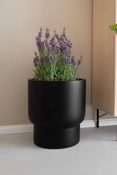 Moderner, schwarzer Pflanztopf mit violetten Blumen in einem hellen Innenraum neben einem Holzschrank.