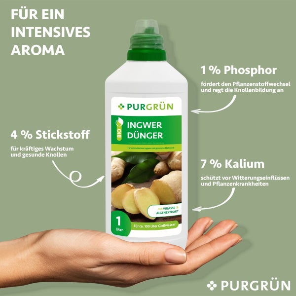 Purgrün Bio-Ingwer-Dünger 1 Liter