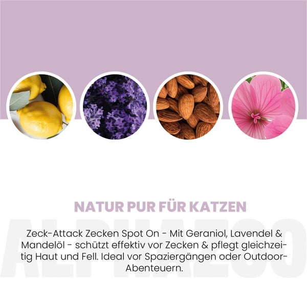 Produktbild mit Zitrone, Lavendel, Mandeln und einer rosa blühenden Pflanze