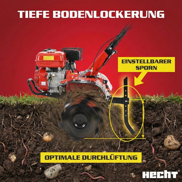 Gartenfräse für die Bodenbearbeitung mit einstellbarem Sporn und optimaler Durchlüftung von Hecht