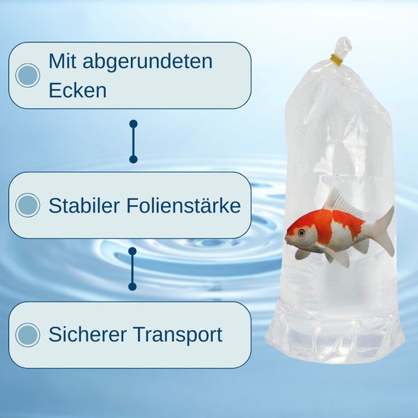 Grafik zur Darstellung von Produkteigenschaften: abgerundete Ecken, stabile Folienstärke und sicherer Transport. Ein Goldfisch befindet sich in einer transparenten Transporttüte.