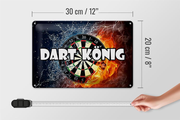 Blechschild Spruch 30x20cm Darts Dart König
