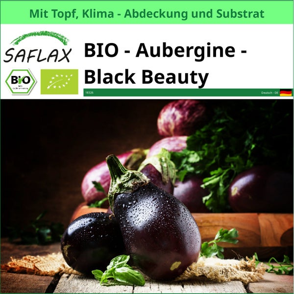 Saflax Bio Aubergine Black Beauty mit Topf, Klimaabdeckung und Substrat
