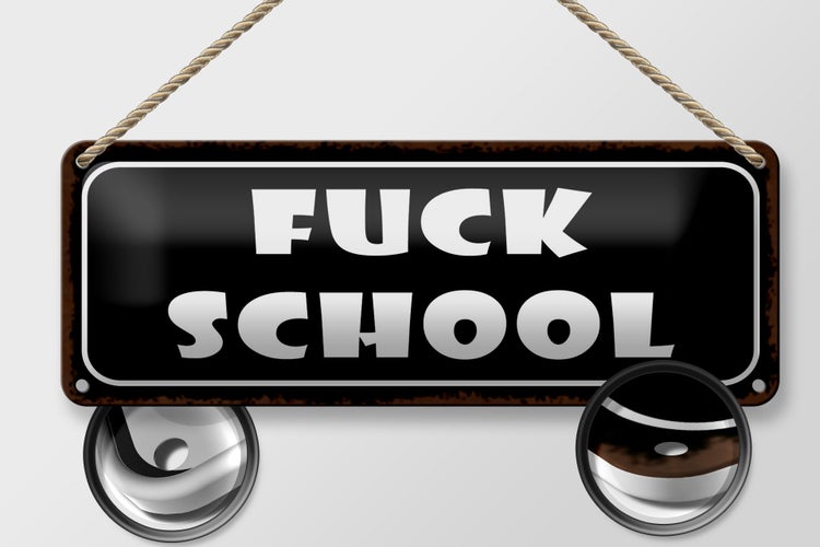 Blechschild Spruch 27x10cm Fuck school Dekoration