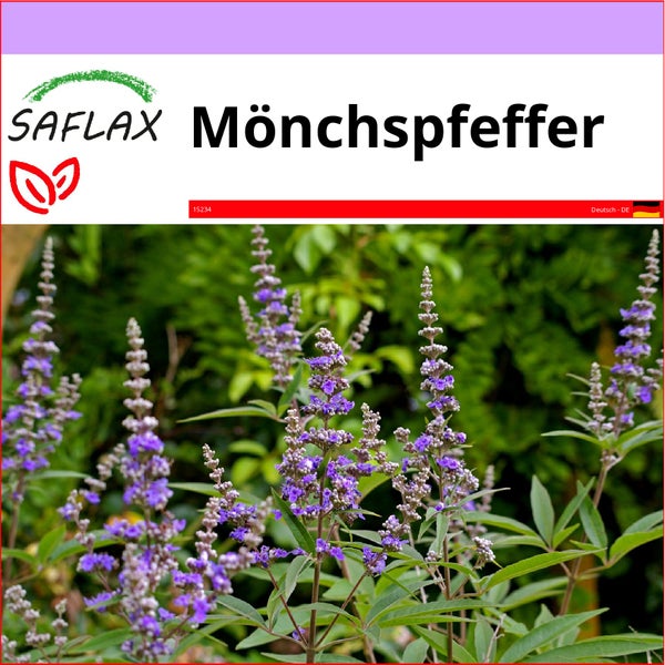 SAFLAX  - Mönchspfeffer - Vitex agnus-castus - 30 Samen