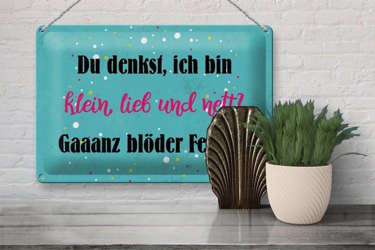 Blechschild Spruch 30x20cm du denkst ich bin klein lieb