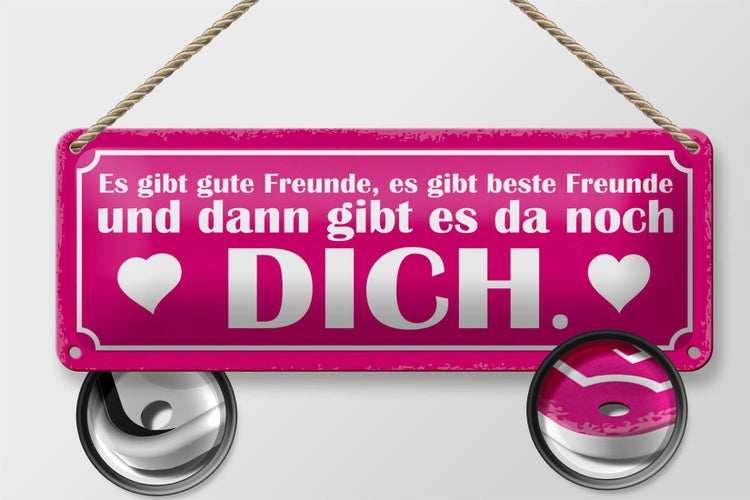 Blechschild Spruch 27x10cm es gibt beste Freunde und DICH Dekoration