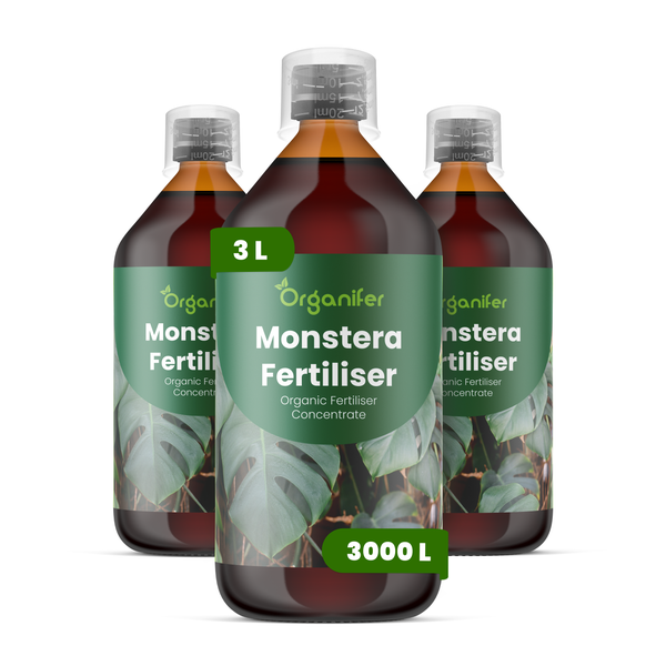 Organifer Monstera Dünger, organisches Düngerkonzentrat für Monstera-Pflanzen, drei Flaschen, 3 Liter, reicht für 3000 Liter, Organifer Logo.