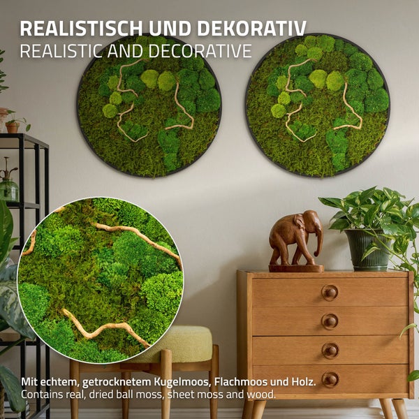 Zwei runde Wandbilder mit echtem getrockneten Kugelmoos, Flachmoos und Holzelementen als dekorative Wandgestaltung in einem Wohnraum.
