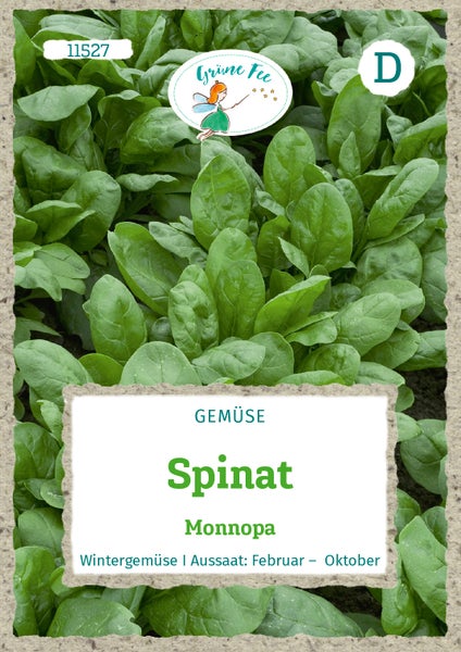 Gemüsesamen für Spinat Monnopa von Grüne Fee, ein Wintergemüse für die Aussaat von Februar bis Oktober. Grüne Fee Logo.