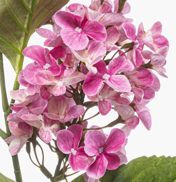 Nahaufnahme einer künstlichen Geranie mit pinken Blüten und grünen Blättern.