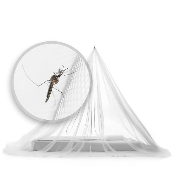 Bett mit Moskitonetz und vergrößerter Darstellung einer Mücke