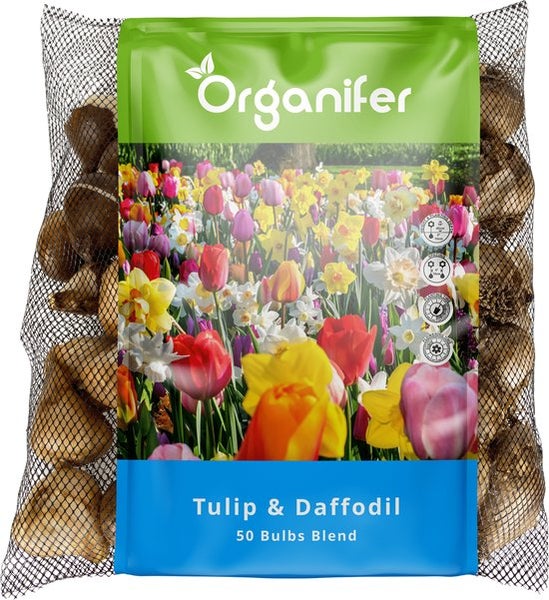 Verpackung Tulpen und Narzissen Blumenzwiebeln, 50 Stück